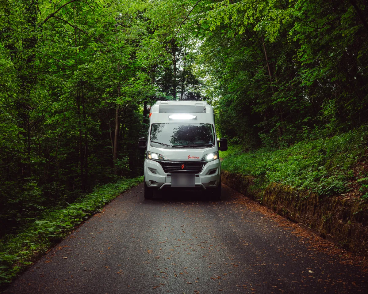 Un Gulliver in viaggio nel bosco